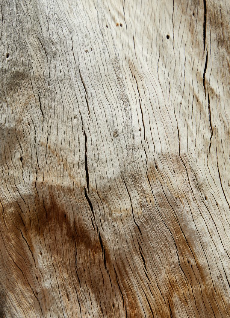 Bild på trä mattrial